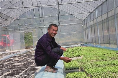 記者看到的是一派繁忙景象,當(dāng)?shù)厝罕娫谑卟擞酌缗嘤笈锢锓?播種