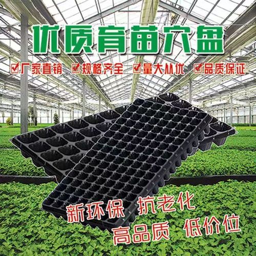 加厚草莓專用多肉月季瓜果扦插盤蔬菜培育穴盤育苗托盤育苗營養(yǎng)杯