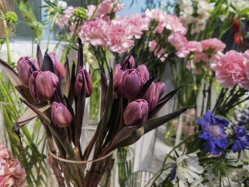 上海鮮花市場有多火 花店老板忙通宵,花卉基地產量翻三倍,新品種爆單