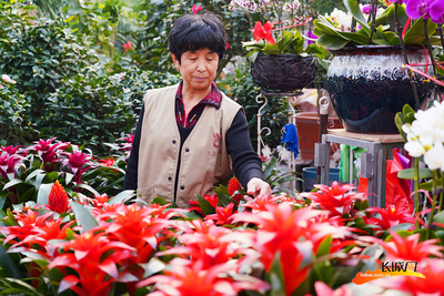 唐山開平:直播花卉銷售忙