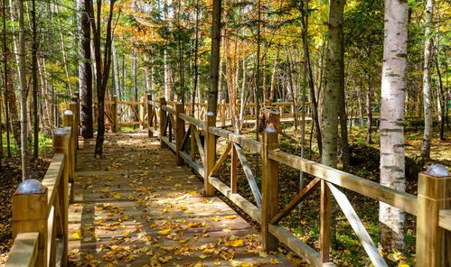 僅此3周 快來看長白山秋日最美的 顏