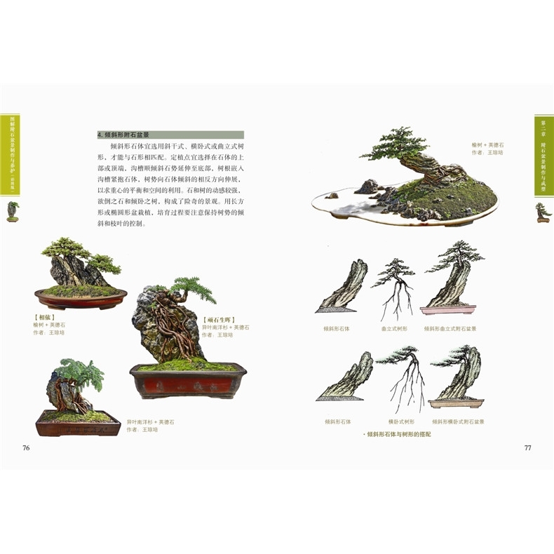 圖解附石盆景+山水盆景+樹木盆景制作與養(yǎng)護(hù)(彩圖版) 盆景制作教材入門盆景書籍圖書大全盆栽造型設(shè)計(jì)圖盆景造型設(shè)計(jì)書 入門 教程