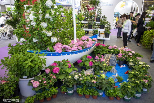 中國國際花卉園藝展覽會在上海舉行