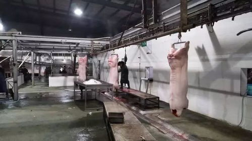 低溫雨雪天 防疫不放松