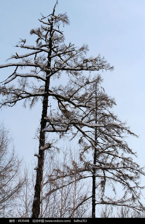 相伴高清圖片下載 紅動(dòng)網(wǎng)