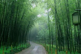 老杭州的清明怎么過 這些民俗別錯(cuò)過