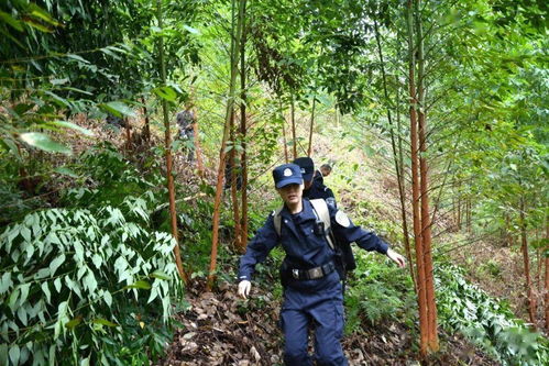 羅城 兩村民小組間有一片荒地,引起種植林木糾紛,幾個部門聯合執行