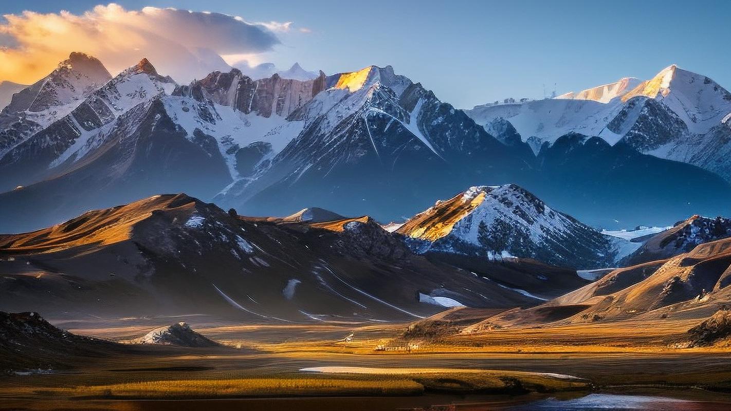 自然森林壁紙,美到窒息