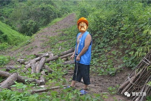 萬源石塘鎮(zhèn)一村民濫伐林木,承擔刑事責任后還要